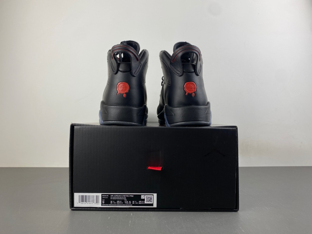 Air Jordan 6