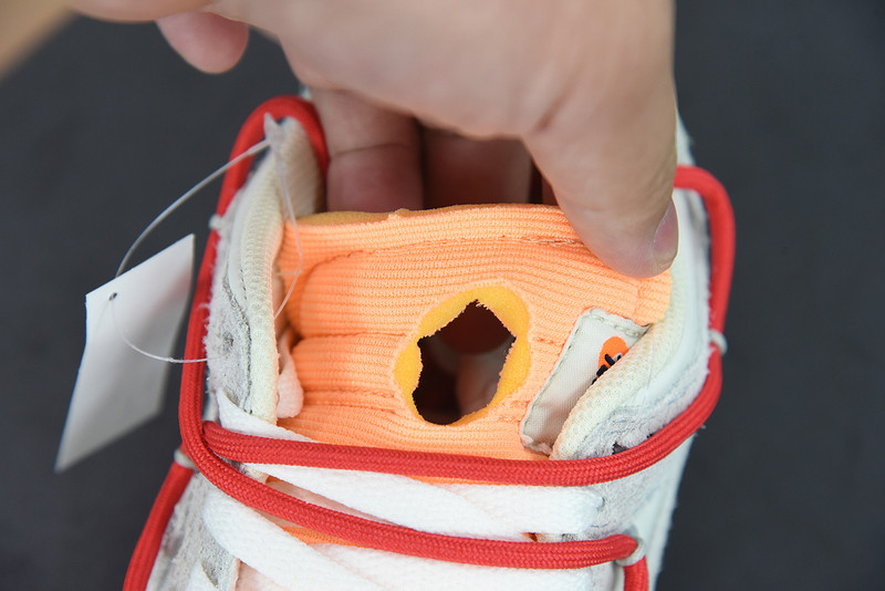 of x dunk low