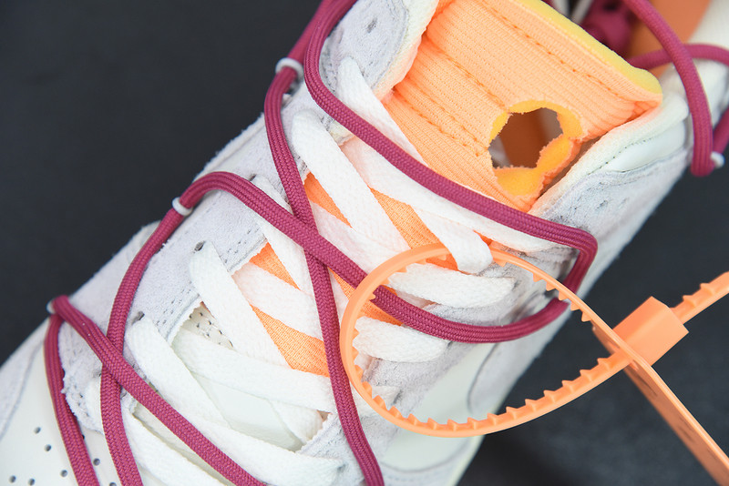 of x dunk low
