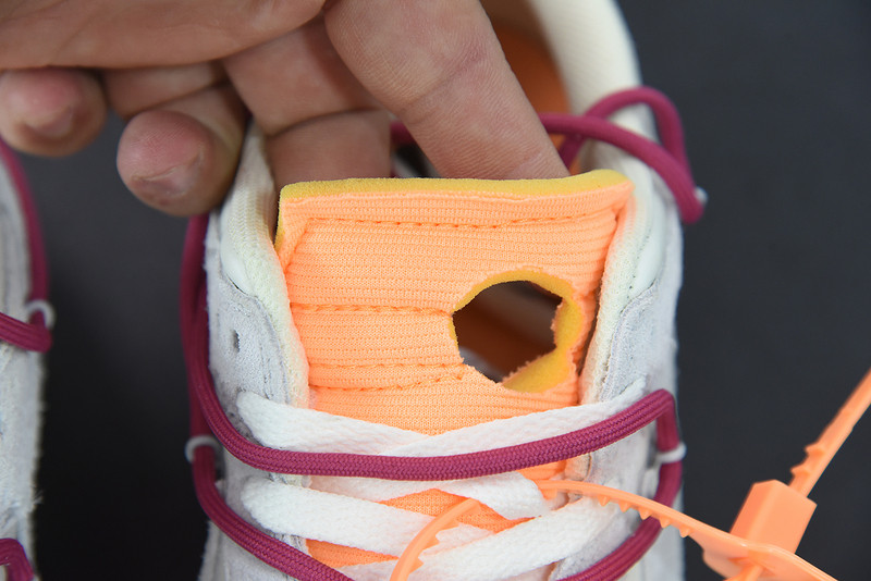of x dunk low