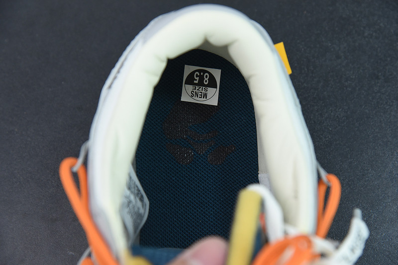 of x dunk low