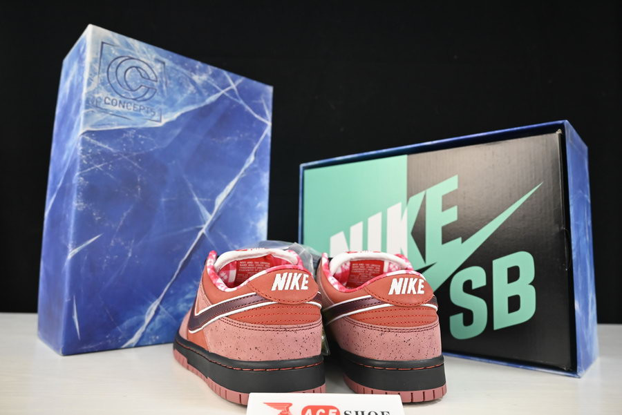 nike dunk sb low red lobster 313170-661