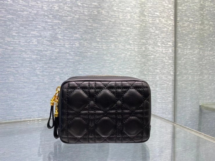 D10r bag