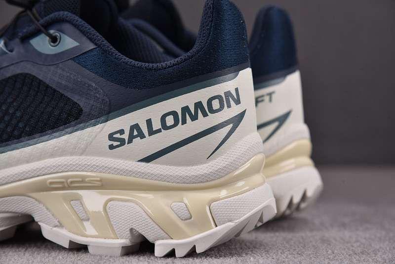 salomon xt-6 ft