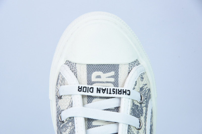 dio* x converse sneaker