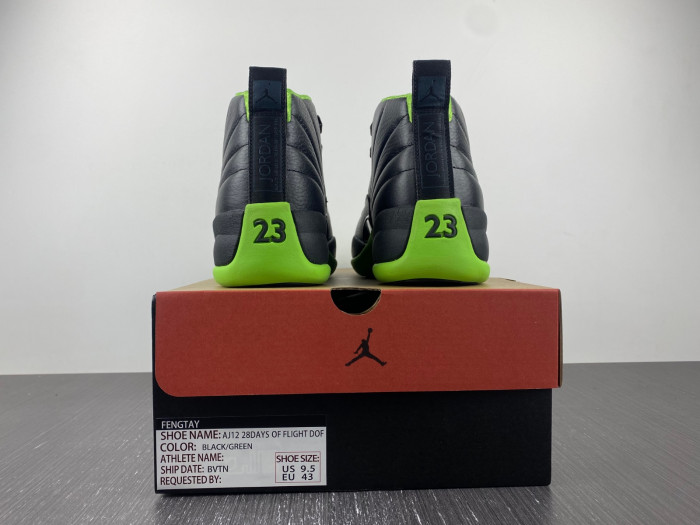 Air Jordan 12 “Black/Neon Green”