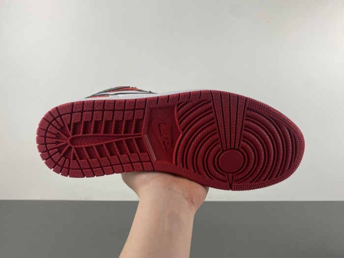 Air Jordan 1 Retro High OG 