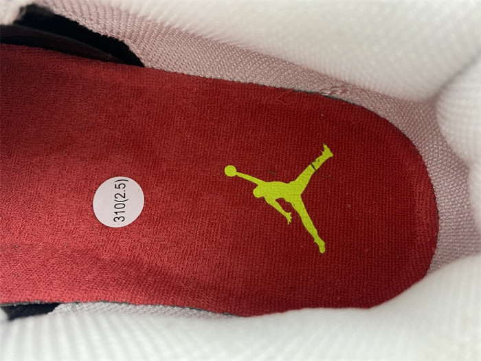 Air Jordan 4 Doernbecher 308497-015