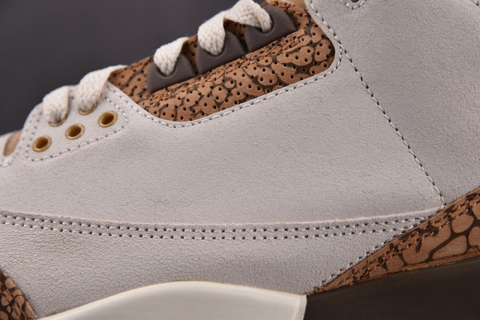 Air Jordan 3 "Palomino" CT8532-102