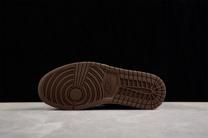 Air Jordan 1 High OG Palomino DZ5485-020