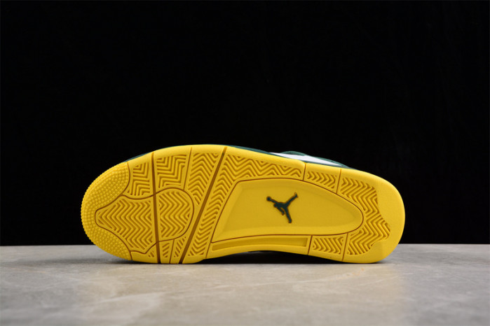 Air Jordan 4 PE