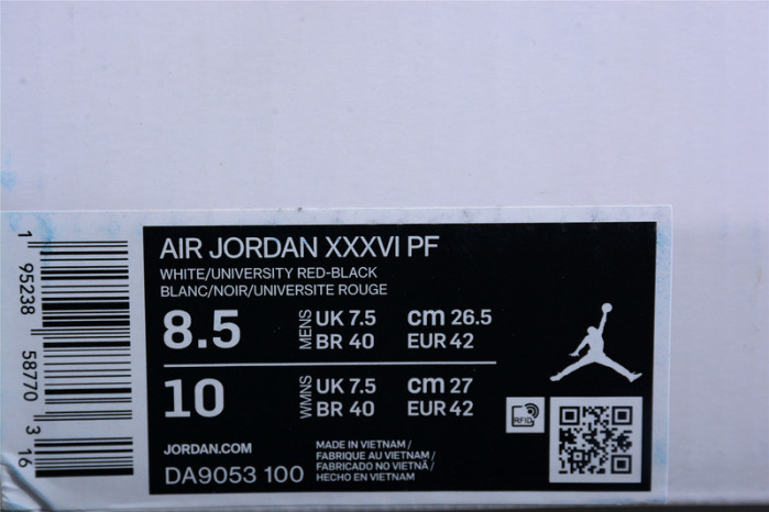 Air Jordan 36 Psychic Energy DA9053-100