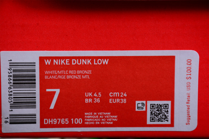 Nike SB Dunk Low DH9765-100