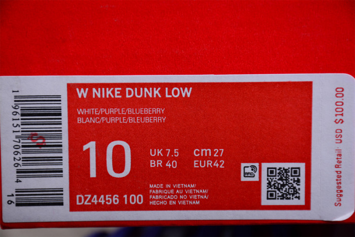 Nike Dunk Low Blueberry (GS) DZ4456-100