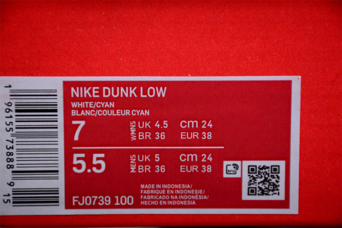 Nike Dunk Low South Beach (Women