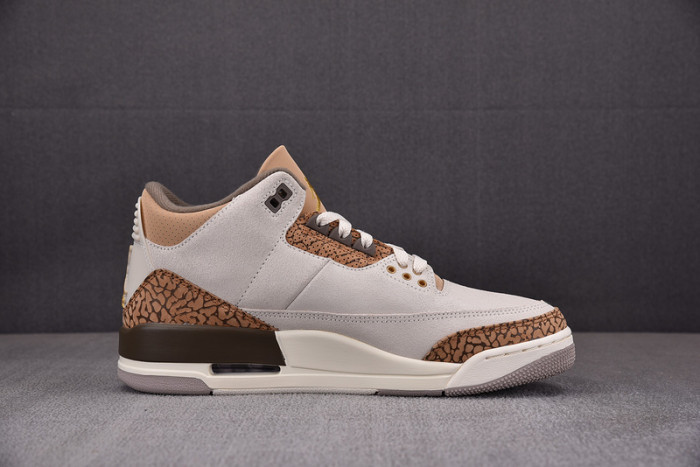 Air Jordan 3 "Palomino" CT8532-102