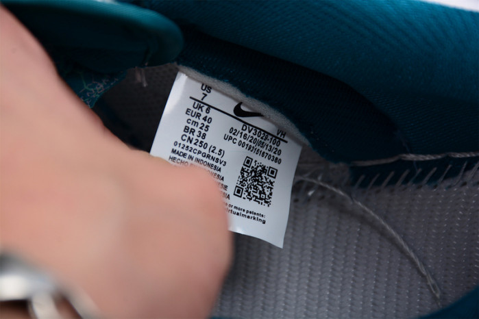 Nike Dunk Low Pro DV3029-100