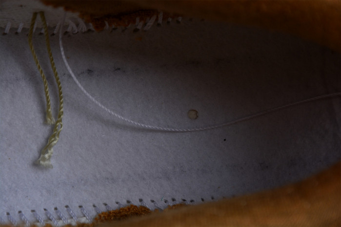 Nike Dunk Low On the Bright Side (W) DQ5076-121