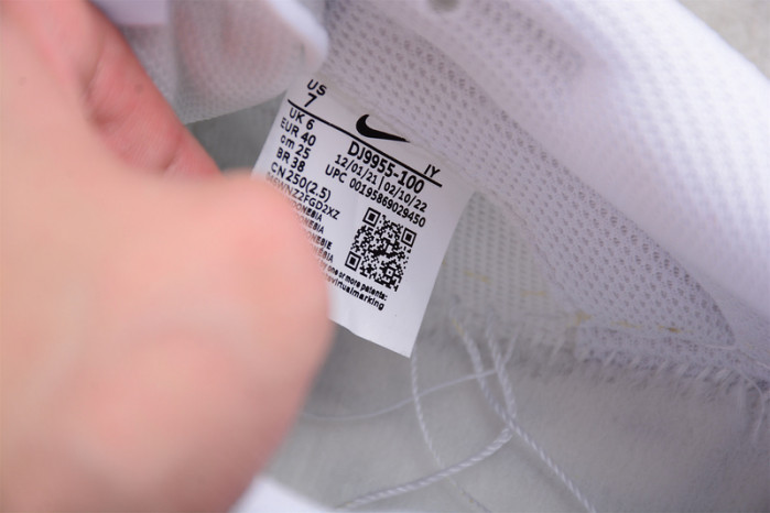 Nike Dunk Low DJ9955-100