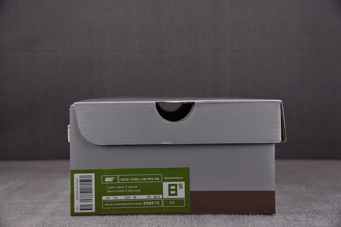 Nike SB Dunk Low Paris 308270-111