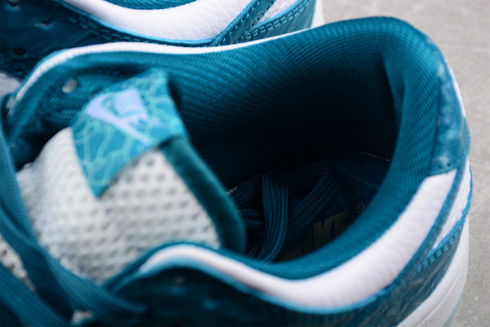 Nike Dunk Low Pro DV3029-100