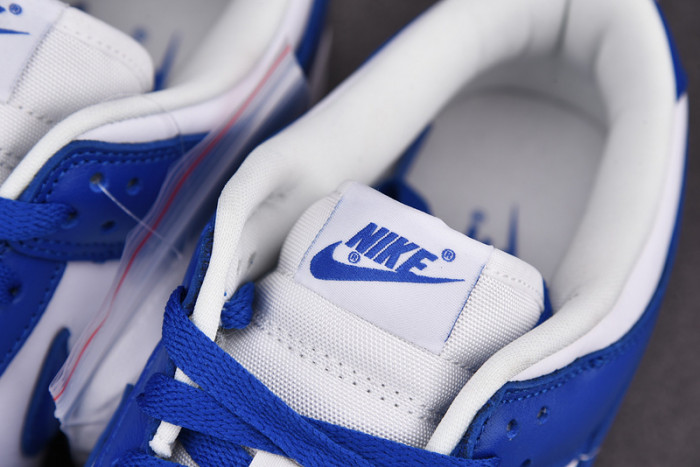 Nike dunk low sb kentucky CU1726-100