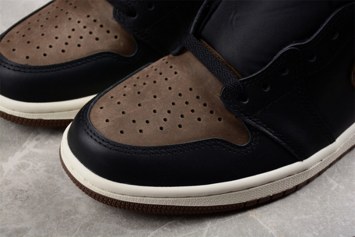 Air Jordan 1 High OG Palomino DZ5485-020