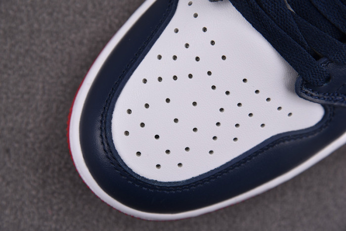 Jordan 1 Retro Low Golf USA DD9315-113