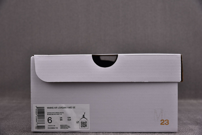 Air Jordan 1 Mid Green Python DV2959-113