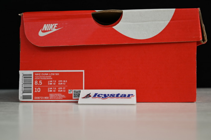Nike Dunk Low NH Winter Solstice (W) DO6723-800