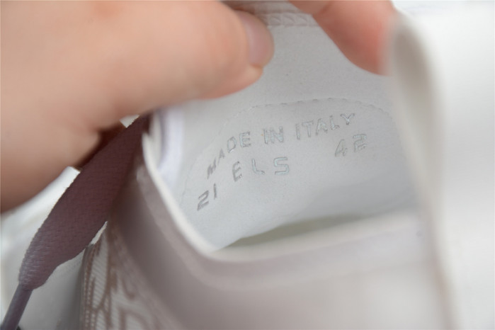 B23 OBLIQUE HIGH TOP SNEAKERS T00853H065